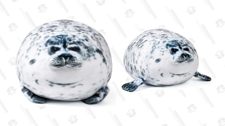 Take 30% off This Chonky Seal Pillow and Make It Your New Snuggle Buddy
